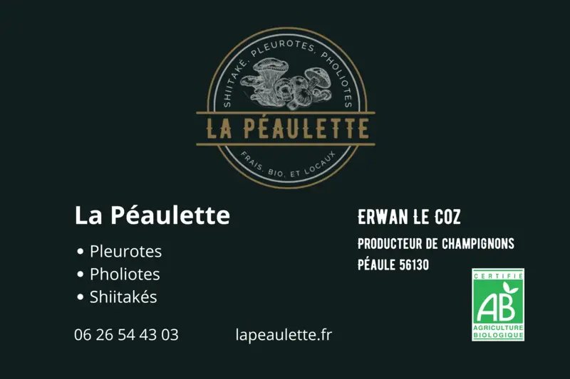 Bannière La Péaulette