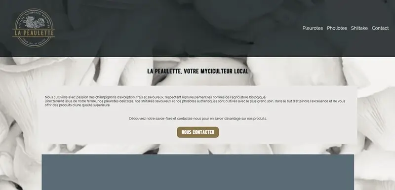 Aperçu du site La Péaulette