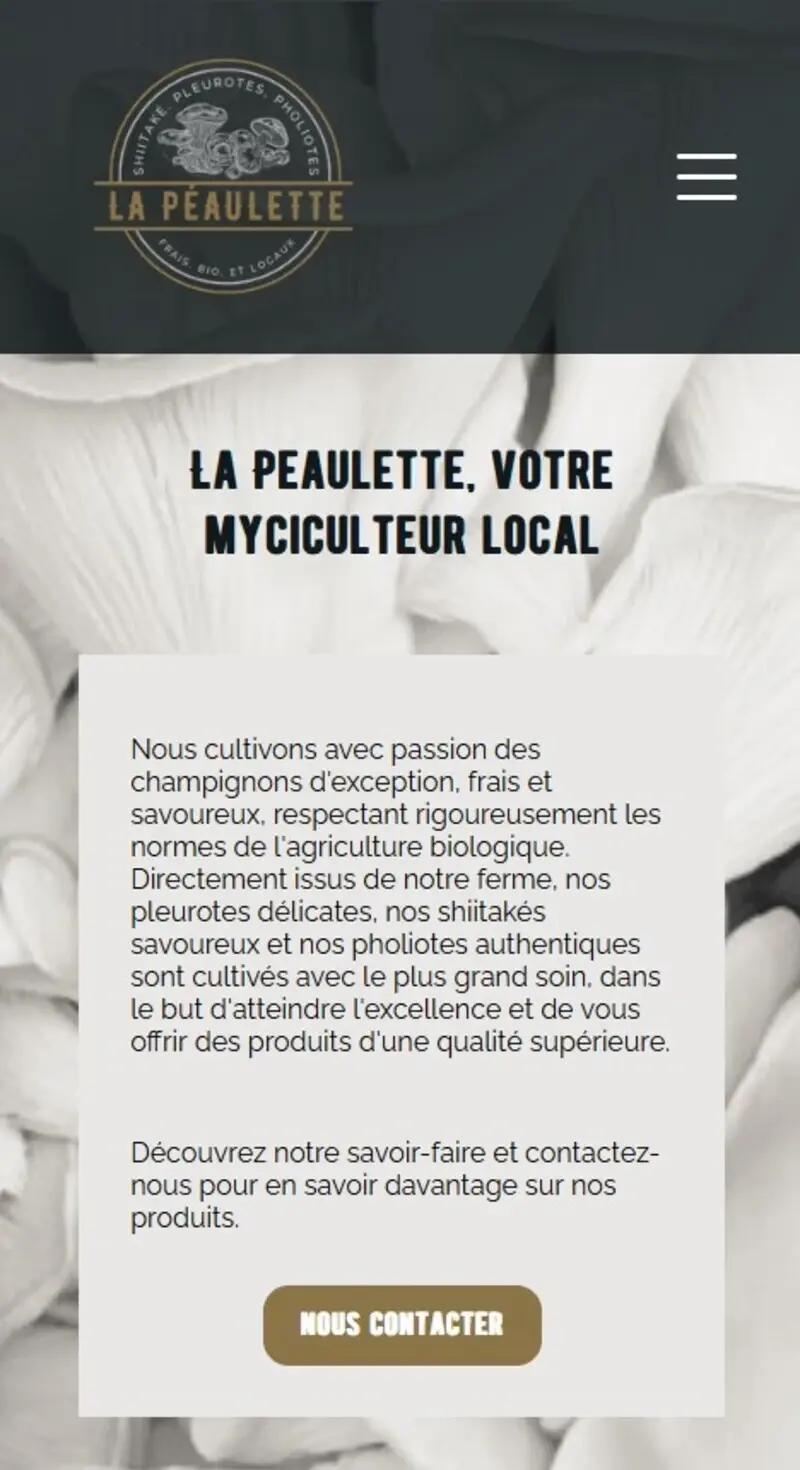 Aperçu mobile du site La Péaulette